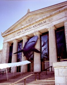 Front view of the John G. Shedd Aquarium, showcasing its grand entrance with restored masonry and intricate architectural details.
